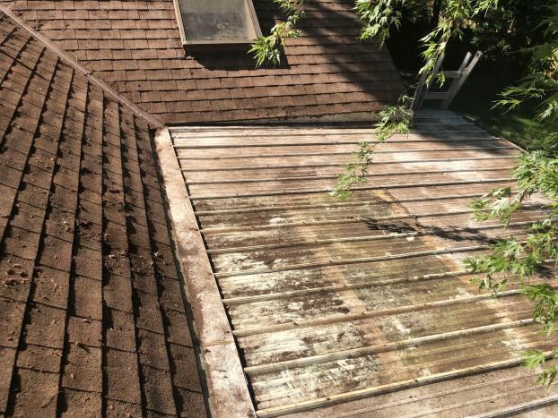 Rooftop with repaired wooden boards and a ladder nearby.